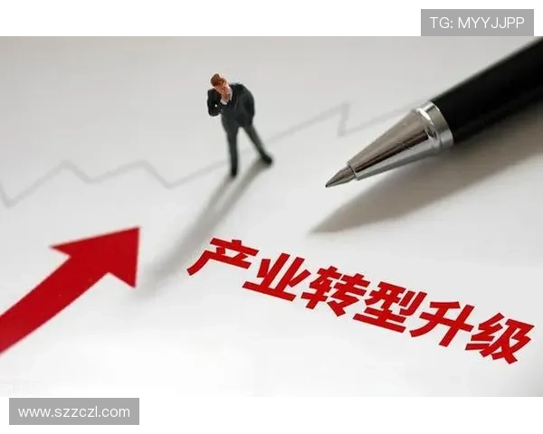 新时代国有企业家引领企业高质量转型发展的战略路径全面深度研究